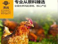 上海伊非网络工作室