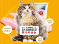 上海伊非网络工作室