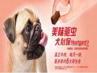 上海伊非网络工作室