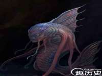 上海伊非网络工作室