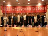 上海伊非网络工作室
