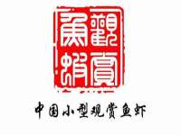 上海伊非网络工作室