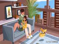 上海伊非网络工作室