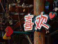 上海伊非网络工作室