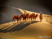 上海伊非网络工作室