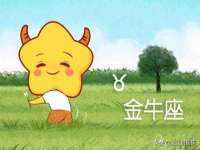 上海伊非网络工作室