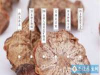 上海伊非网络工作室