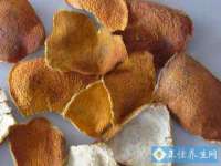 上海伊非网络工作室