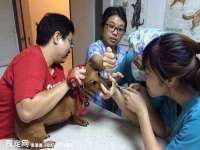 上海伊非网络工作室