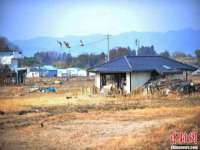 上海伊非网络工作室