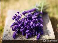 上海伊非网络工作室