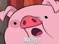 上海伊非网络工作室