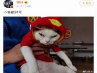 上海伊非网络工作室